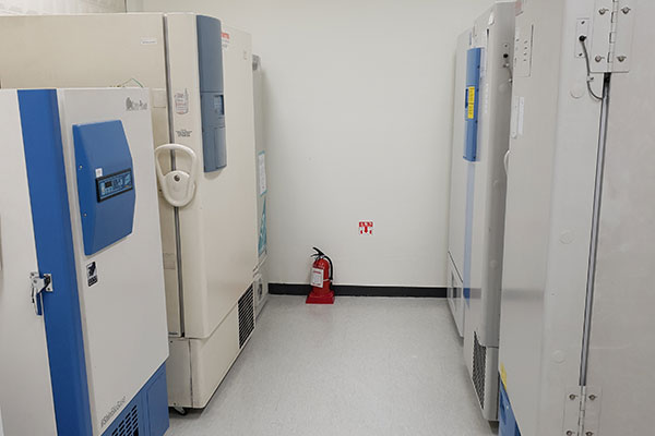 초저온냉동고실 내부