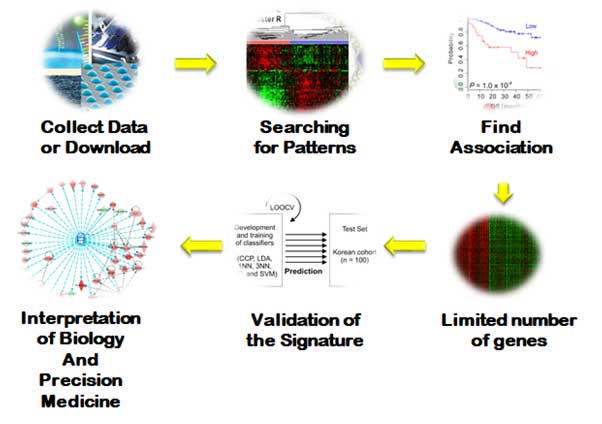1. Collect Data or Download
                            2. Searching for Patterns
                            3. Find Association
                            4. Interpretation of Biology And Precision Medicine
                            5. Validation of the Signature
                            6. Limited number of genes