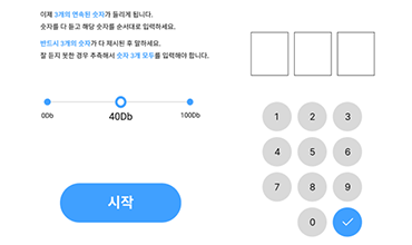 Auditory Test
