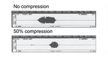 Auditory Test