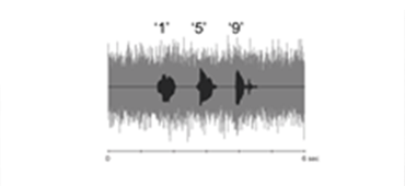 Auditory Training