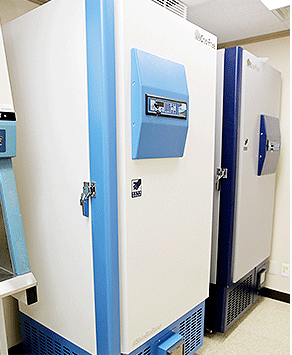 Deep Freezer (-80℃)